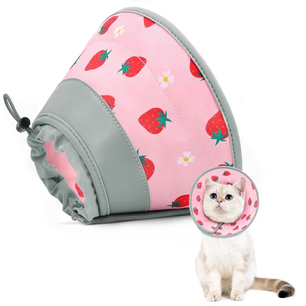 NEW SMALL CAT STRAWBERRY SOFT CONE (NWT)